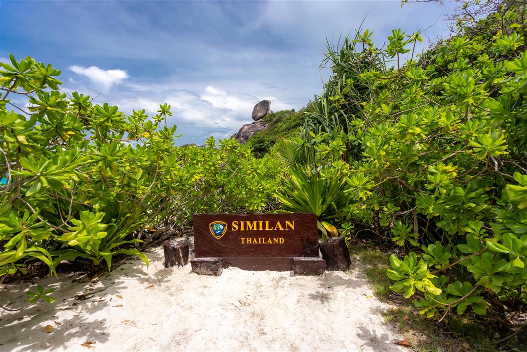 Gallery image for Similan Islands By Power Catamaran (Premium)